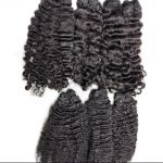 Raw Burmese Curly